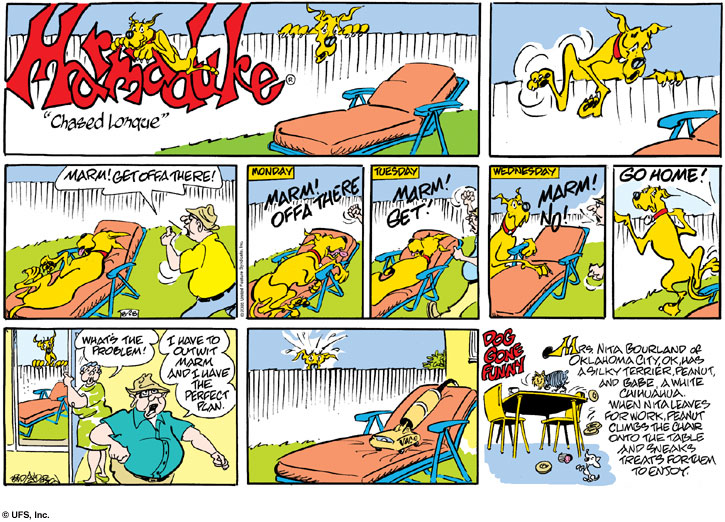 marmaduke